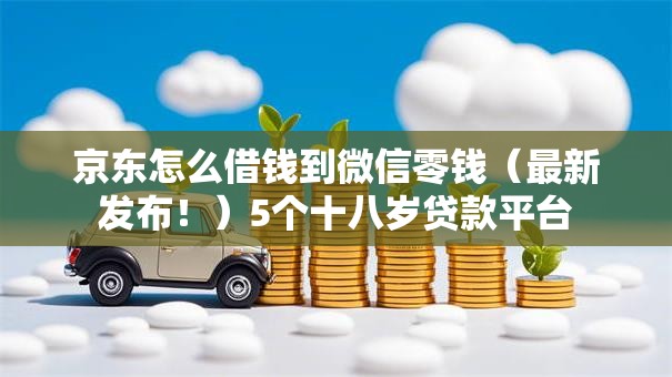 京东怎么借钱到微信零钱（最新发布！）5个十八岁贷款平台