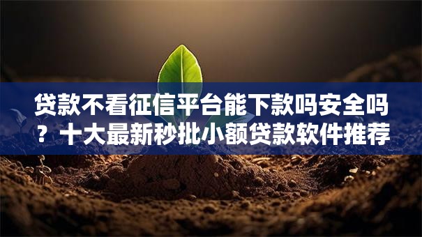贷款不看征信平台能下款吗安全吗？十大最新秒批小额贷款软件推荐