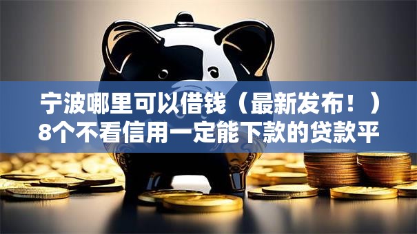 宁波哪里可以借钱（最新发布！）8个不看信用一定能下款的贷款平台