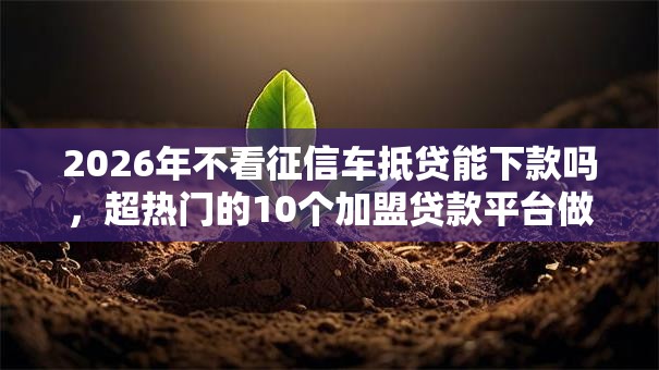 2026年不看征信车抵贷能下款吗，超热门的10个加盟贷款平台做代理推荐