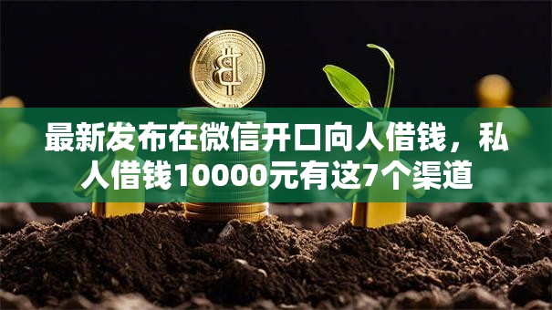 最新发布在微信开口向人借钱，私人借钱10000元有这7个渠道