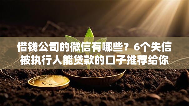 借钱公司的微信有哪些？6个失信被执行人能贷款的口子推荐给你