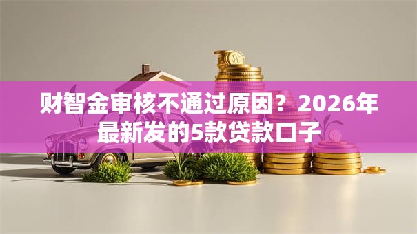 财智金审核不通过原因?2026年最新发的5款贷款口子 财智金审核不通过原因?2026年最新发的5款贷款口子