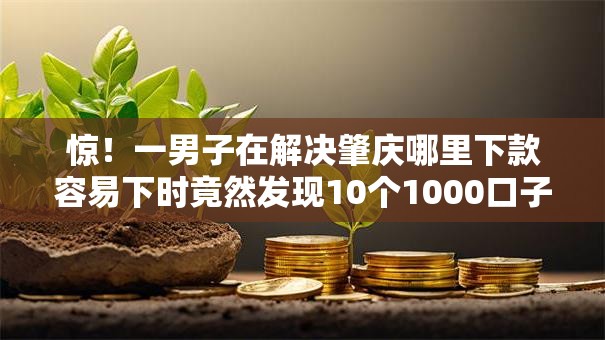 惊！一男子在解决肇庆哪里下款容易下时竟然发现10个1000口子秒下，事后分享了出来