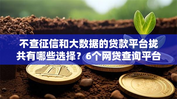 不查征信和大数据的贷款平台拢共有哪些选择?6个网贷查询平台详解 不查征信和大数据的贷款平台拢共有哪些选择?6个网贷查询平台详解