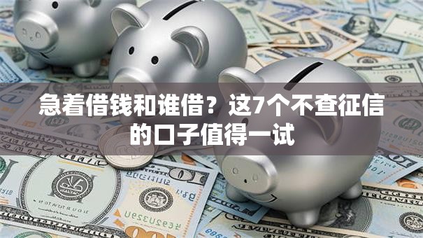 急着借钱和谁借?这7个不查征信的口子值得一试 急着借钱和谁借?这7个不查征信的口子值得一试