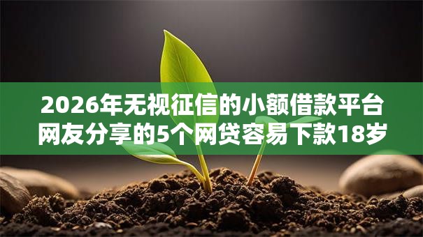 2026年无视征信的小额借款平台网友分享的5个网贷容易下款18岁的平台我觉得不错！