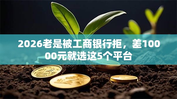 2026老是被工商银行拒,差10000元就选这5个平台 2026老是被工商银行拒,差10000元就选这5个平台