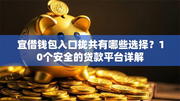 宜借钱包入口拢共有哪些选择？10个安全的贷款平台详解