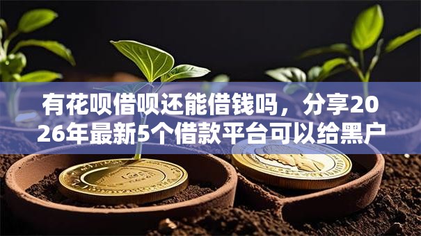 有花呗借呗还能借钱吗，分享2026年最新5个借款平台可以给黑户当前有逾期的借款一万