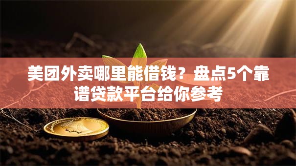 美团外卖哪里能借钱？盘点5个靠谱贷款平台给你参考