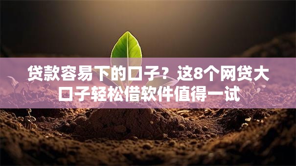 贷款容易下的口子？这8个网贷大口子轻松借软件值得一试