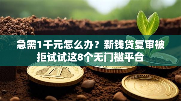 急需1千元怎么办？新钱贷复审被拒试试这8个无门槛平台