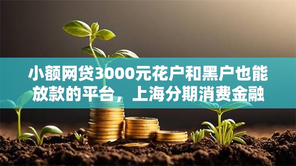 小额网贷3000元花户和黑户也能放款的平台，上海分期消费金融股份有限公司的6个平台介绍