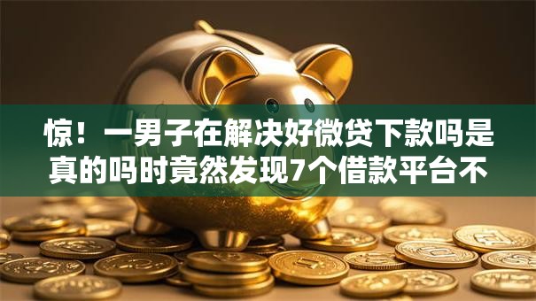 惊！一男子在解决好微贷下款吗是真的吗时竟然发现7个借款平台不看征信线上放款快，事后分享了出来