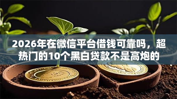 2026年在微信平台借钱可靠吗，超热门的10个黑白贷款不是高炮的口子推荐
