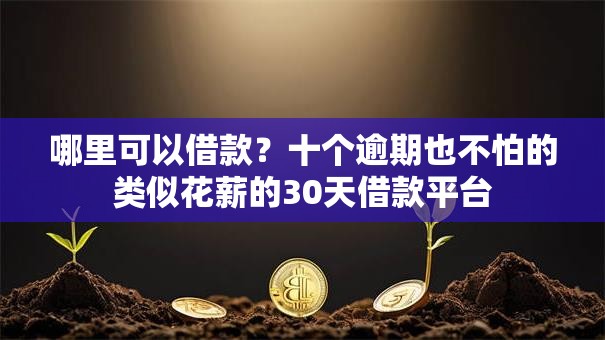 哪里可以借款？十个逾期也不怕的类似花薪的30天借款平台