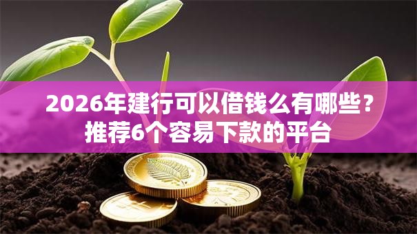 2026年建行可以借钱么有哪些？推荐6个容易下款的平台