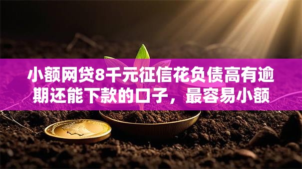 小额网贷8千元征信花负债高有逾期还能下款的口子，最容易小额贷款5000的5个平台介绍