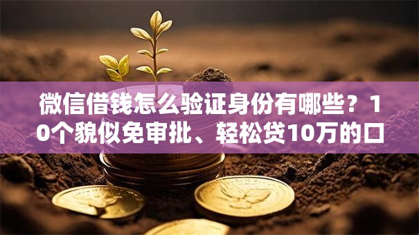 微信借钱怎么验证身份有哪些？10个貌似免审批、轻松贷10万的口子合集