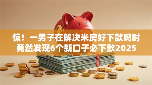 惊！一男子在解决米房好下款吗时竟然发现6个新口子必下款2025不查征信，事后分享了出来