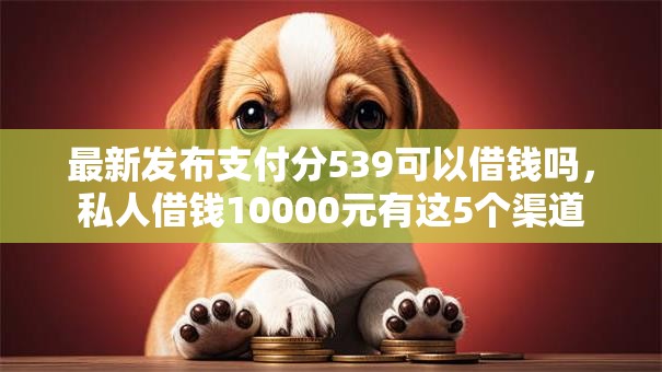 最新发布支付分539可以借钱吗，私人借钱10000元有这5个渠道