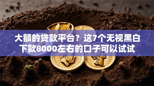 大额的贷款平台？这7个无视黑白下款8000左右的口子可以试试