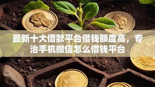 最新十大借款平台借钱额度高，专治手机微信怎么借钱平台