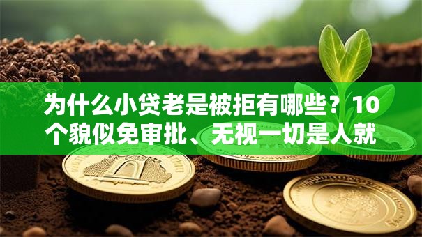为什么小贷老是被拒有哪些？10个貌似免审批、无视一切是人就下款软件合集