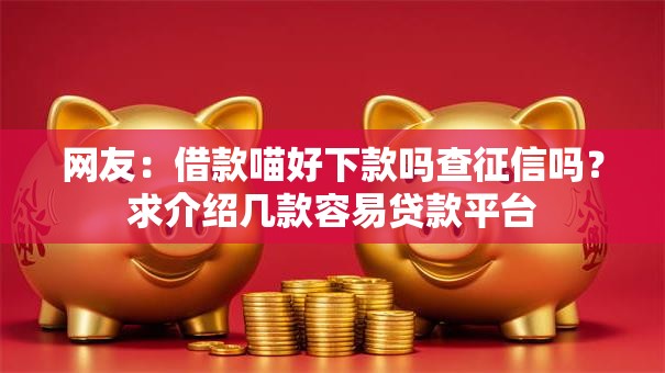 网友:借款喵好下款吗查征信吗?求介绍几款容易贷款平台 网友:借款喵好下款吗查征信吗?求介绍几款容易贷款平台