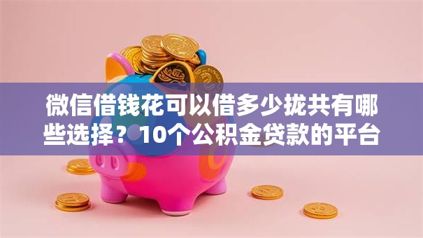 微信借钱花可以借多少拢共有哪些选择？10个公积金贷款的平台详解