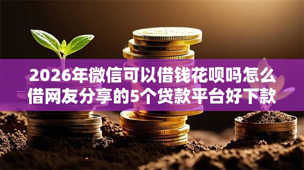 2026年微信可以借钱花呗吗怎么借网友分享的5个贷款平台好下款不看征信我觉得不错！