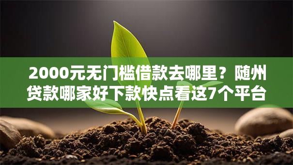 2000元无门槛借款去哪里？随州贷款哪家好下款快点看这7个平台