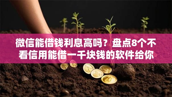 微信能借钱利息高吗？盘点8个不看信用能借一千块钱的软件给你参考