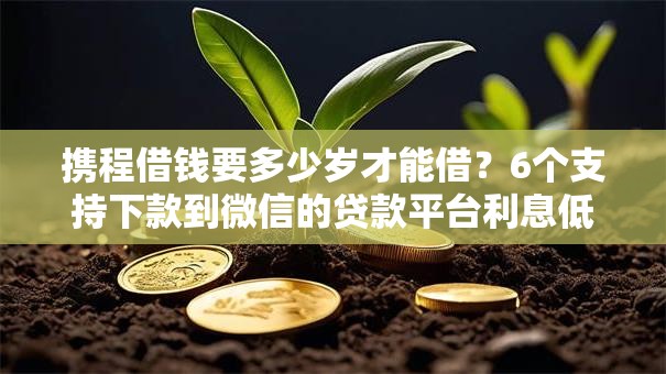 携程借钱要多少岁才能借？6个支持下款到微信的贷款平台利息低又正规