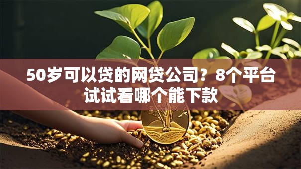 50岁可以贷的网贷公司？8个平台试试看哪个能下款