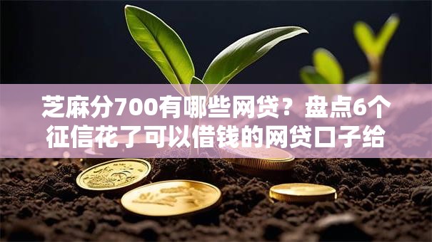 芝麻分700有哪些网贷？盘点6个征信花了可以借钱的网贷口子给你参考