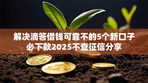 解决滴答借钱可靠不的5个新口子必下款2025不查征信分享