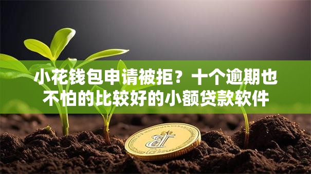小花钱包申请被拒？十个逾期也不怕的比较好的小额贷款软件