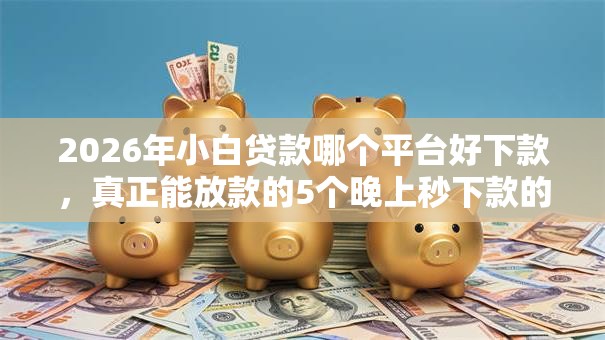 2026年小白贷款哪个平台好下款,真正能放款的5个晚上秒下款的高炮口子推荐 2026年小白贷款哪个平台好下款,真正能放款的5个晚上秒下款的高炮口子推荐
