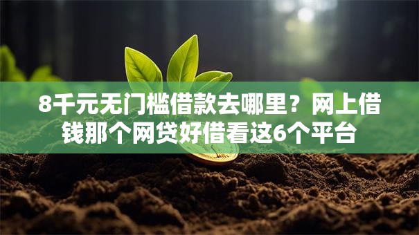 8千元无门槛借款去哪里？网上借钱那个网贷好借看这6个平台