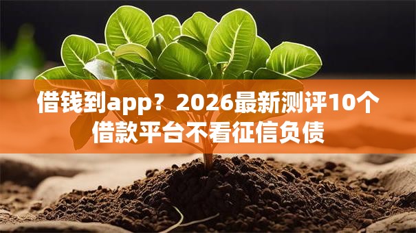 借钱到app?2026最新测评10个借款平台不看征信负债 借钱到app?2026最新测评10个借款平台不看征信负债