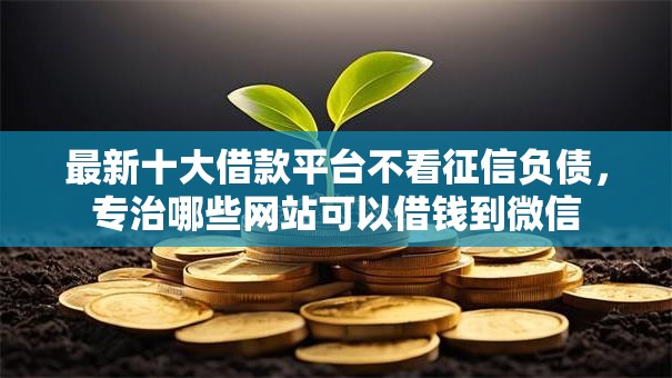 最新十大借款平台不看征信负债，专治哪些网站可以借钱到微信