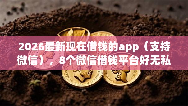 2026最新现在借钱的app（支持微信），8个微信借钱平台好无私分享