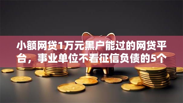小额网贷1万元黑户能过的网贷平台，事业单位不看征信负债的5个平台介绍