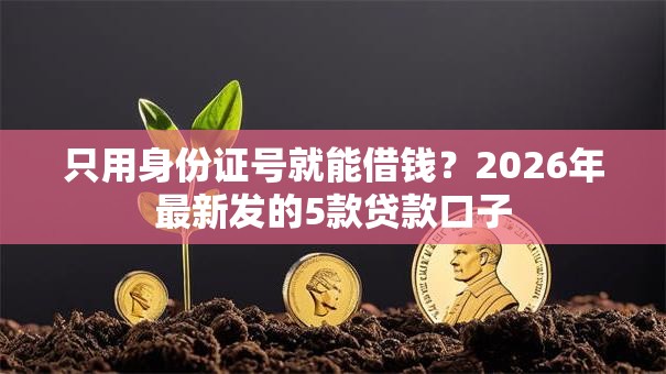 只用身份证号就能借钱？2026年最新发的5款贷款口子