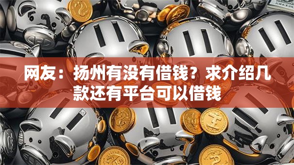 网友：扬州有没有借钱？求介绍几款还有平台可以借钱