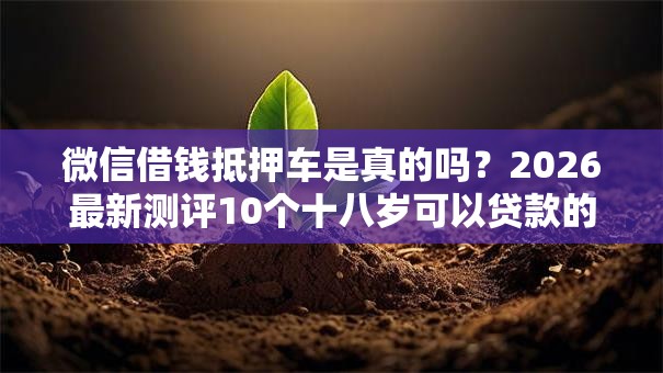 微信借钱抵押车是真的吗？2026最新测评10个十八岁可以贷款的平台