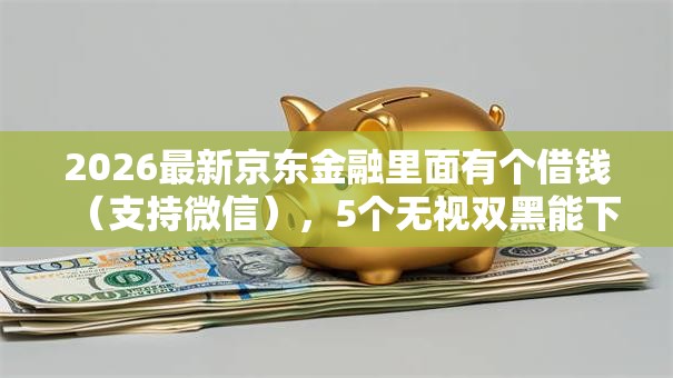 2026最新京东金融里面有个借钱（支持微信），5个无视双黑能下的分期贷无私分享