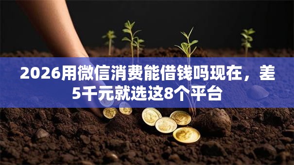 2026用微信消费能借钱吗现在，差5千元就选这8个平台